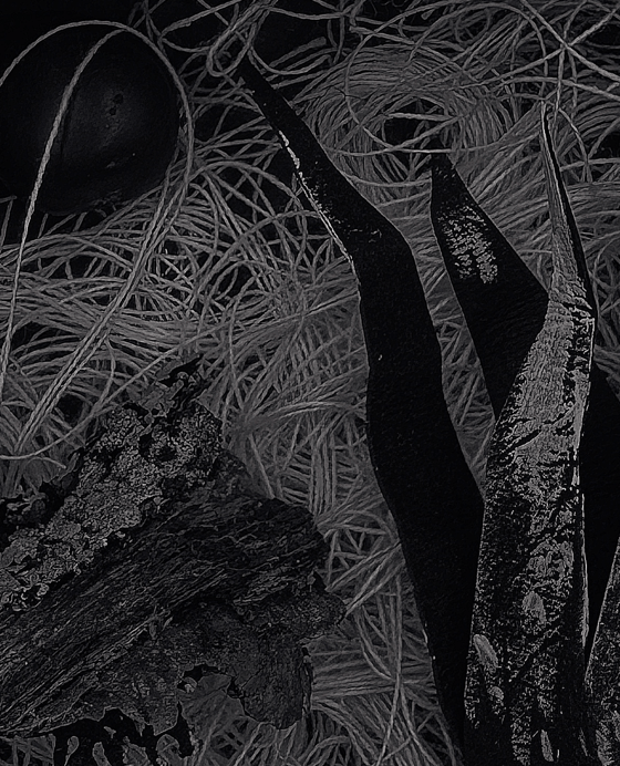 Image of A Strange Thing