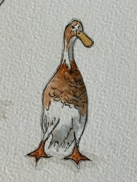 Image 1 of Runner Duck Series