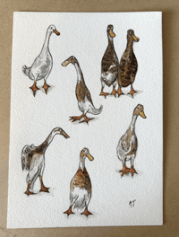 Image 2 of Runner Duck Series