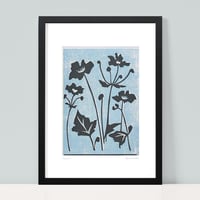 Image 1 of Black Anemones