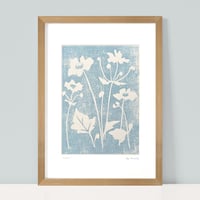 Image 2 of Blue Grey Anemones