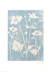 Image 4 of Blue Grey Anemones