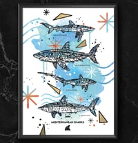 Image 1 of MEDITERRANEAN SHARKS x ASSOCIATION AILERONS