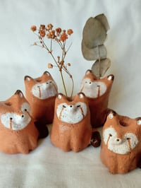 Pieni savimaljakko, punapanda 2