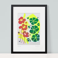 Image 3 of Fluoro Nasturtiums