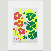Image 4 of Fluoro Nasturtiums