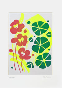 Image 5 of Fluoro Nasturtiums