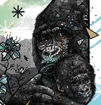 Image 3 of MOUNTAIN GORILLA x MAKIGO