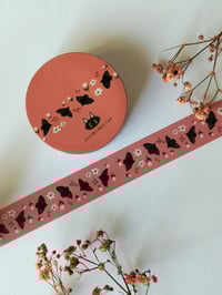 Image 1 of Washiteippi linnut