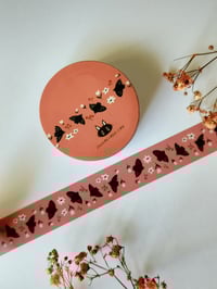 Image 2 of Washiteippi linnut