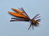 Image 4 of Clawdad Kit