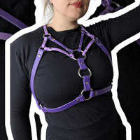 Image 2 of Solana Harness