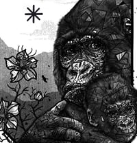Image 4 of MOUNTAIN GORILLA x MAKIGO