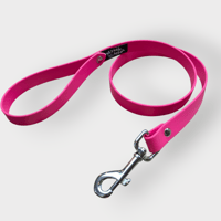 Image 3 of Long Leash 