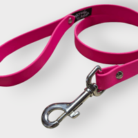 Image 2 of Long Leash 