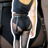 Image 1 of Kitty 4-Way Harness