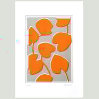 Image 4 of Orange Lily Pads