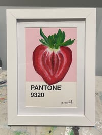 Image 2 of Strawberry Pantone