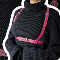 Image 3 of Belt Harness