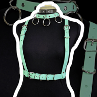 Image 2 of Belt Harness and its the same but there's three more rings so it's not