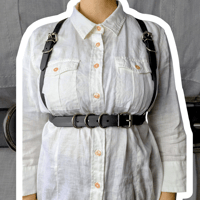 Image 1 of Belt Harness and its the same but there's three more rings so it's not