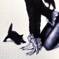 Image 3 of Black Cat N