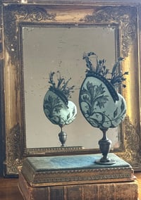 Image 1 of Nautile Victorien 