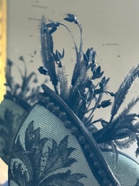 Image 3 of Nautile Victorien 