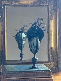 Image 4 of Nautile Victorien 