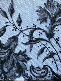 Image 5 of Nautile Victorien 