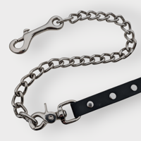 Image 3 of Short Leash + Chain