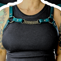 Image 1 of Daisy Chain Harness