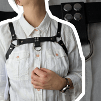 Image 3 of Power Harness