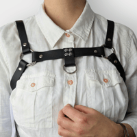 Image 1 of Power Harness