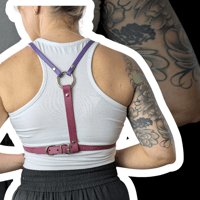 Image 4 of Solana Harness