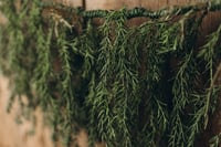 Image 4 of Green wild garland