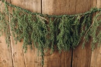 Image 5 of Green wild garland