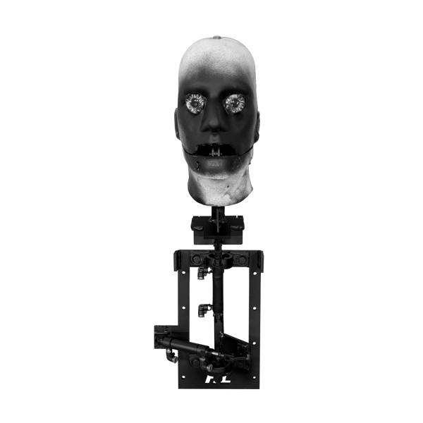 Image of 3 Movement Pneumatic Talking Head Form