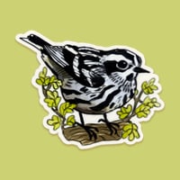 Image 1 of black and white warbler sticker