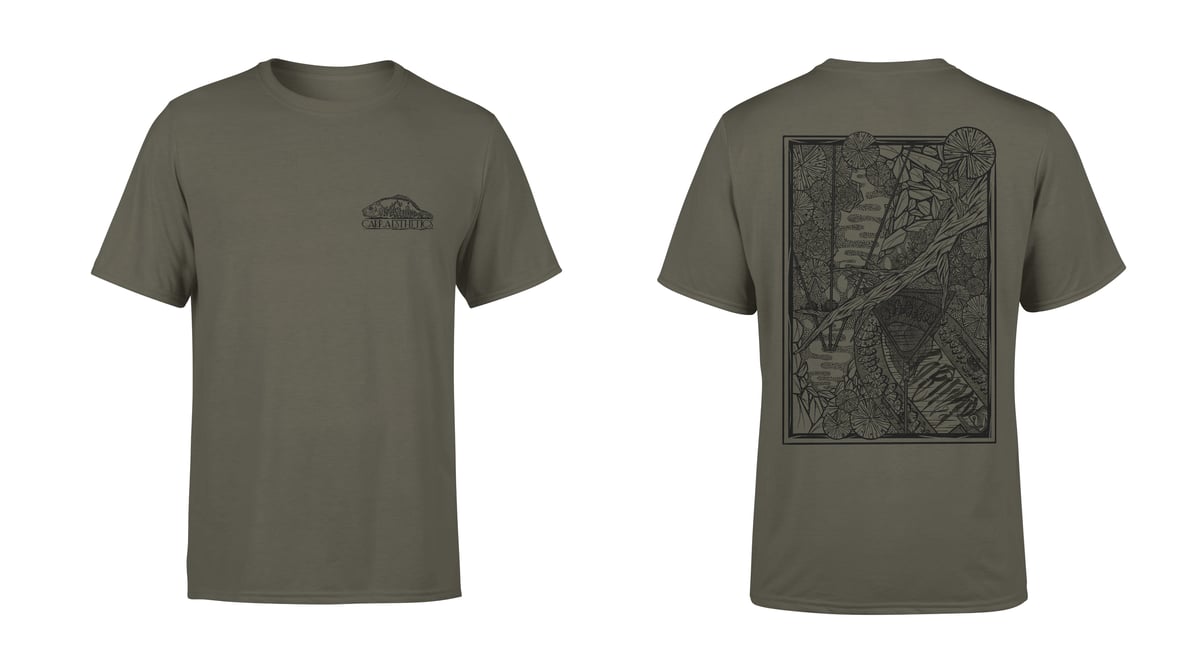 Image of Hidden boat 