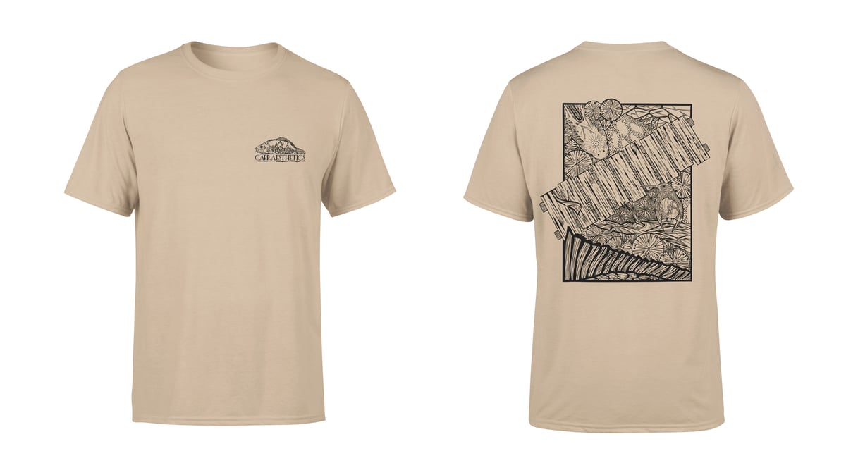 Image of Steg reloaded