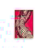 Zebra Lighting 12"x18" Print