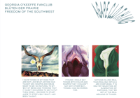 Image 4 of Georgia O'Keeffe Fanclub