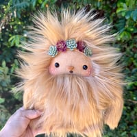 Golden Succulent Yowie