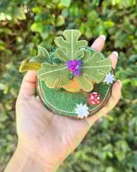 Image 2 of Grape Seedling 🌱 🍇 