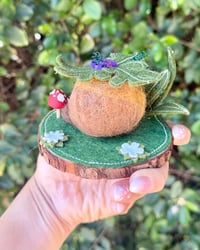 Image 3 of Grape Seedling 🌱 🍇 