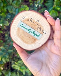 Image 4 of Grape Seedling 🌱 🍇 