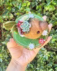 Image 2 of Succulent Seedling 🌱 ✨ 