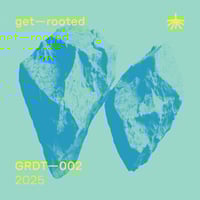 Image 1 of DJ Deep & Traumer - GRDT002 (expected 20/03/2026)