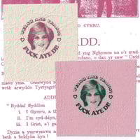 WELSH & TRANS? FUCK AYE DI! PATCH